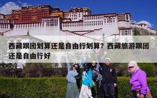 西藏跟团划算还是自由行划算？西藏旅游跟团还是自由行好