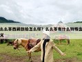 么么茶西藏旅拍怎么样？么么茶有什么特殊含义