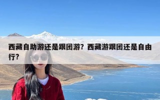 西藏自助游还是跟团游？西藏游跟团还是自由行?