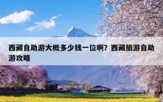 西藏自助游大概多少钱一位啊？西藏旅游自助游攻略