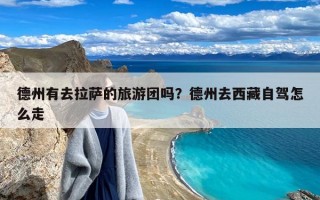 德州有去拉萨的旅游团吗？德州去西藏自驾怎么走