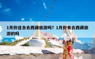 1月份适合去西藏旅游吗？1月份有去西藏旅游的吗