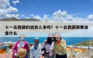 十一去西藏的旅游人多吗？十一去西藏需要准备什么