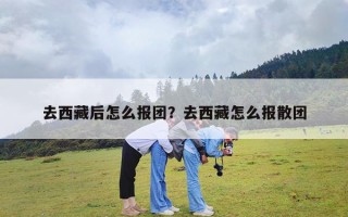 去西藏后怎么报团？去西藏怎么报散团