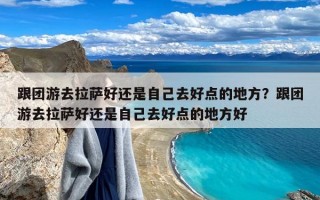 跟团游去拉萨好还是自己去好点的地方？跟团游去拉萨好还是自己去好点的地方好