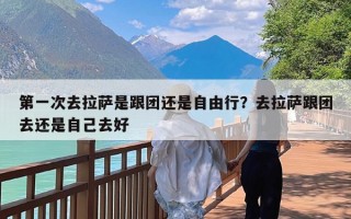 第一次去拉萨是跟团还是自由行？去拉萨跟团去还是自己去好