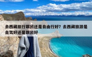 去西藏旅行跟团还是自由行好？去西藏旅游是自驾好还是跟团好