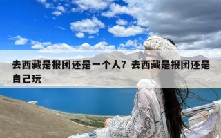 去西藏是报团还是一个人？去西藏是报团还是自己玩