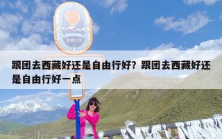 跟团去西藏好还是自由行好？跟团去西藏好还是自由行好一点