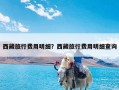 西藏旅行费用明细？西藏旅行费用明细查询