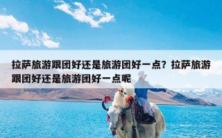 拉萨旅游跟团好还是旅游团好一点？拉萨旅游跟团好还是旅游团好一点呢