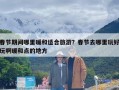 春节期间哪里暖和适合旅游？春节去哪里玩好玩啊暖和点的地方