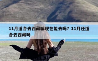 11月适合去西藏嘛现在能去吗？11月还适合去西藏吗