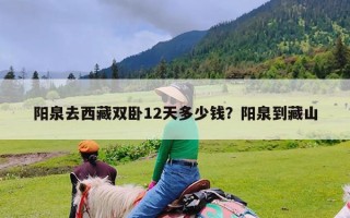 阳泉去西藏双卧12天多少钱？阳泉到藏山