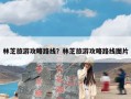 林芝旅游攻略路线？林芝旅游攻略路线图片