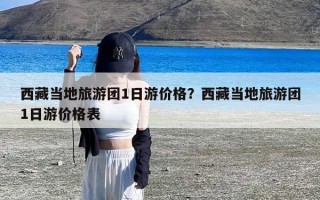 西藏当地旅游团1日游价格？西藏当地旅游团1日游价格表