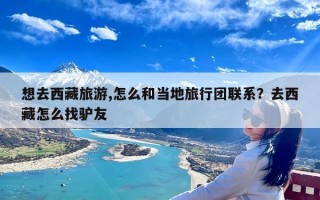 想去西藏旅游,怎么和当地旅行团联系？去西藏怎么找驴友