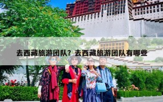 去西藏旅游团队？去西藏旅游团队有哪些