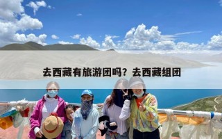 去西藏有旅游团吗？去西藏组团