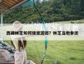 西藏林芝如何接旅游团？林芝当地参团