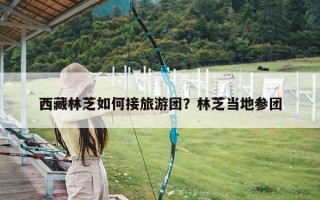 西藏林芝如何接旅游团？林芝当地参团