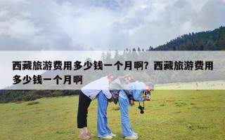 西藏旅游费用多少钱一个月啊？西藏旅游费用多少钱一个月啊