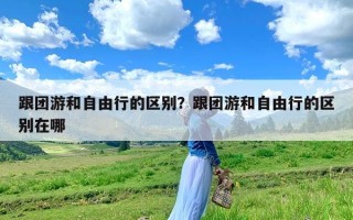 跟团游和自由行的区别？跟团游和自由行的区别在哪