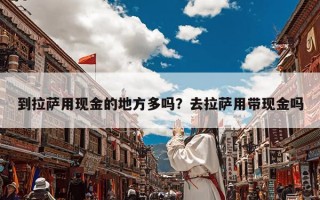 到拉萨用现金的地方多吗？去拉萨用带现金吗