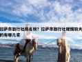 拉萨市旅行社排名榜？拉萨市旅行社规模较大的有哪几家