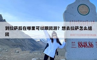 到拉萨后在哪里可以跟团游？想去拉萨怎么组团