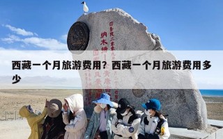 西藏一个月旅游费用？西藏一个月旅游费用多少