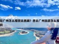 在广州怎么报团去西藏？想去广州旅游怎么报团