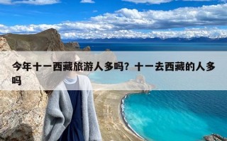 今年十一西藏旅游人多吗？十一去西藏的人多吗