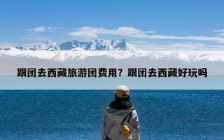 跟团去西藏旅游团费用？跟团去西藏好玩吗