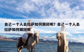 自己一个人去拉萨如何跟团呢？自己一个人去拉萨如何跟团呢