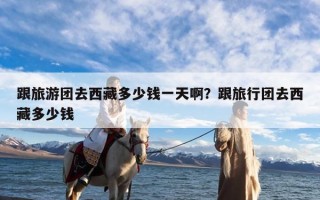 跟旅游团去西藏多少钱一天啊？跟旅行团去西藏多少钱