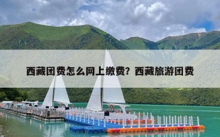 西藏团费怎么网上缴费？西藏旅游团费