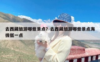 去西藏旅游哪些景点？去西藏旅游哪些景点海拔低一点