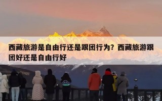 西藏旅游是自由行还是跟团行为？西藏旅游跟团好还是自由行好