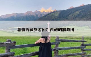 暑假西藏旅游团？西藏的旅游团