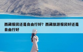 西藏报团还是自由行好？西藏旅游报团好还是自由行好