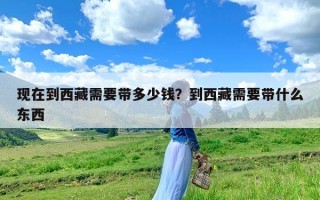 现在到西藏需要带多少钱？到西藏需要带什么东西