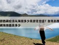 游西藏应该从海拔多少高游览合适？自驾去西藏海拔最高多少