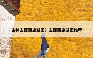 吉林去西藏旅游团？去西藏旅游团推荐