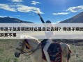 带孩子旅游跟团好还是自己去好？带孩子跟团游累不累