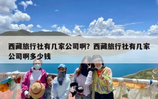 西藏旅行社有几家公司啊？西藏旅行社有几家公司啊多少钱