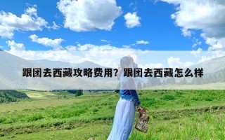 跟团去西藏攻略费用？跟团去西藏怎么样