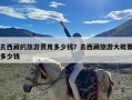 去西藏的旅游费用多少钱？去西藏旅游大概要多少钱