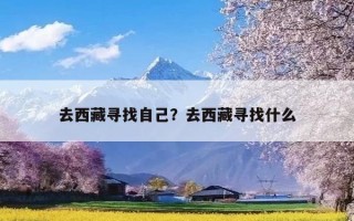 去西藏寻找自己？去西藏寻找什么