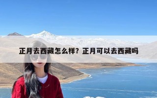 正月去西藏怎么样？正月可以去西藏吗